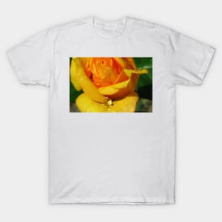 Yellow Rose with Water Drop T-Shirt